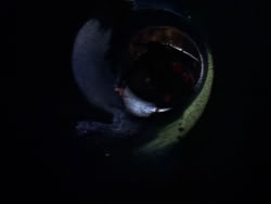 extant_XenaWarriorPrincess_1x09_DeathInChains_2554