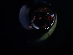 extant_XenaWarriorPrincess_1x09_DeathInChains_2556