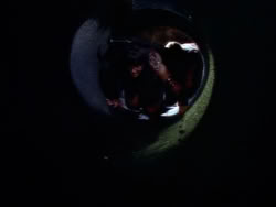 extant_XenaWarriorPrincess_1x09_DeathInChains_2558