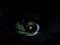 extant_XenaWarriorPrincess_1x09_DeathInChains_2578