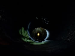 extant_XenaWarriorPrincess_1x09_DeathInChains_2580