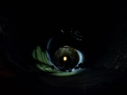 extant_XenaWarriorPrincess_1x09_DeathInChains_2582