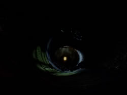 extant_XenaWarriorPrincess_1x09_DeathInChains_2583