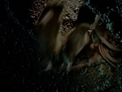 extant_XenaWarriorPrincess_1x09_DeathInChains_2594