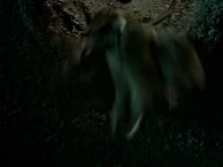 extant_XenaWarriorPrincess_1x09_DeathInChains_2596