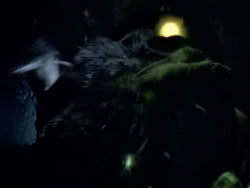 extant_XenaWarriorPrincess_1x09_DeathInChains_2598