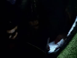 extant_XenaWarriorPrincess_1x09_DeathInChains_2630