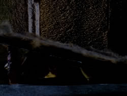 extant_XenaWarriorPrincess_1x09_DeathInChains_2646