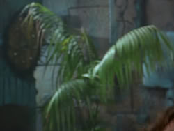 extant_XenaWarriorPrincess_1x09_DeathInChains_3331