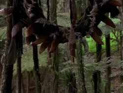 extant_XenaWarriorPrincess_1x10-HoovesAndHarlots_00006