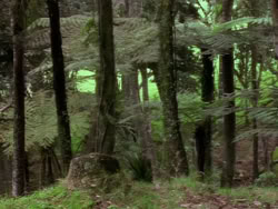 extant_XenaWarriorPrincess_1x10-HoovesAndHarlots_00075