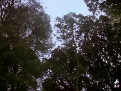 extant_XenaWarriorPrincess_1x10-HoovesAndHarlots_00093
