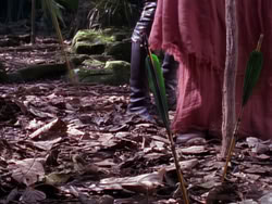 extant_XenaWarriorPrincess_1x10-HoovesAndHarlots_00094