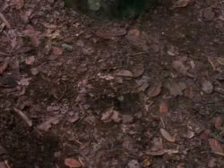 extant_XenaWarriorPrincess_1x10-HoovesAndHarlots_00276