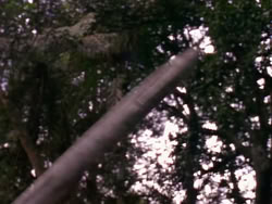 extant_XenaWarriorPrincess_1x10-HoovesAndHarlots_00282