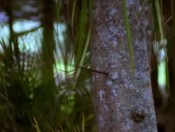 extant_XenaWarriorPrincess_1x10-HoovesAndHarlots_00286