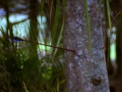 extant_XenaWarriorPrincess_1x10-HoovesAndHarlots_00287