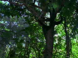 extant_XenaWarriorPrincess_1x10-HoovesAndHarlots_00300