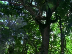 extant_XenaWarriorPrincess_1x10-HoovesAndHarlots_00301