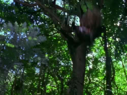 extant_XenaWarriorPrincess_1x10-HoovesAndHarlots_00302