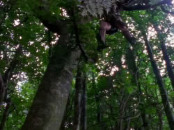 extant_XenaWarriorPrincess_1x10-HoovesAndHarlots_00330