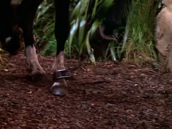 extant_XenaWarriorPrincess_1x10-HoovesAndHarlots_00650