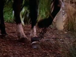 extant_XenaWarriorPrincess_1x10-HoovesAndHarlots_00651