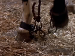 extant_XenaWarriorPrincess_1x10-HoovesAndHarlots_00800