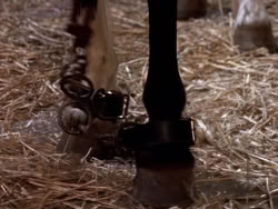 extant_XenaWarriorPrincess_1x10-HoovesAndHarlots_00801