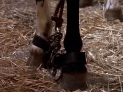 extant_XenaWarriorPrincess_1x10-HoovesAndHarlots_00802