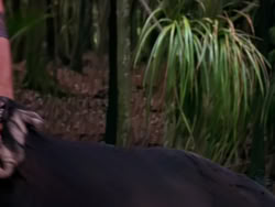 extant_XenaWarriorPrincess_1x10-HoovesAndHarlots_01242