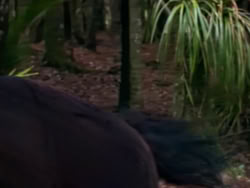 extant_XenaWarriorPrincess_1x10-HoovesAndHarlots_01243