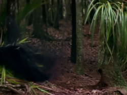 extant_XenaWarriorPrincess_1x10-HoovesAndHarlots_01244