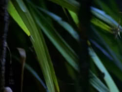 extant_XenaWarriorPrincess_1x10-HoovesAndHarlots_01812