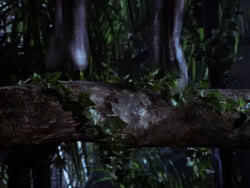 extant_XenaWarriorPrincess_1x10-HoovesAndHarlots_01836