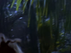 extant_XenaWarriorPrincess_1x10-HoovesAndHarlots_01846
