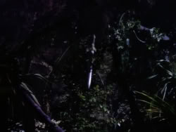 extant_XenaWarriorPrincess_1x10-HoovesAndHarlots_01856