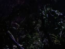 extant_XenaWarriorPrincess_1x10-HoovesAndHarlots_01857