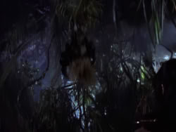 extant_XenaWarriorPrincess_1x10-HoovesAndHarlots_01860