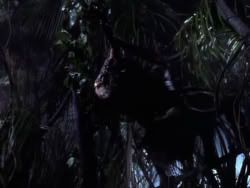 extant_XenaWarriorPrincess_1x10-HoovesAndHarlots_01868