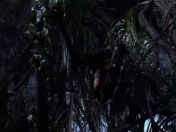 extant_XenaWarriorPrincess_1x10-HoovesAndHarlots_01869