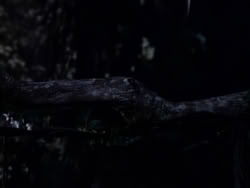 extant_XenaWarriorPrincess_1x10-HoovesAndHarlots_01887
