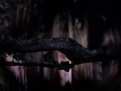 extant_XenaWarriorPrincess_1x10-HoovesAndHarlots_01888