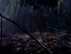extant_XenaWarriorPrincess_1x10-HoovesAndHarlots_01894