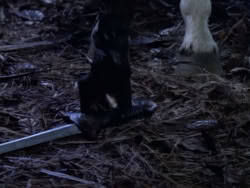 extant_XenaWarriorPrincess_1x10-HoovesAndHarlots_01939