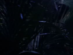 extant_XenaWarriorPrincess_1x10-HoovesAndHarlots_01947