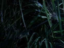 extant_XenaWarriorPrincess_1x10-HoovesAndHarlots_01962