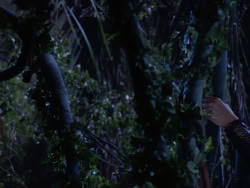 extant_XenaWarriorPrincess_1x10-HoovesAndHarlots_01965