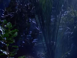 extant_XenaWarriorPrincess_1x10-HoovesAndHarlots_01973