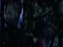 extant_XenaWarriorPrincess_1x10-HoovesAndHarlots_02022